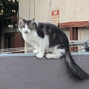 Meet your Posher, Ryanne